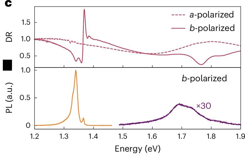 Open access visualization of Line Plot, PL Measurements, Exciton, Bragg Reflector, PL Intensity