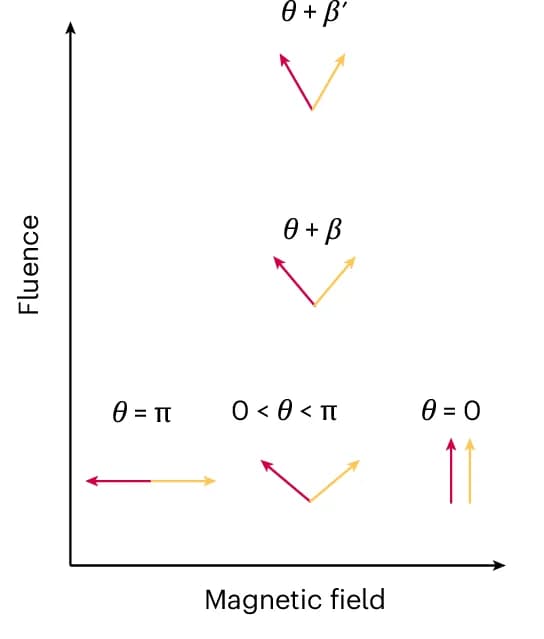 Open access visualization of Illustration, Magnetic Field, Fluence, Canting Angle, Sublattice Magnetization Vectors