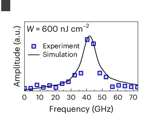 Open access visualization of Line Plot, Scatter Plot, Experimental Scheme