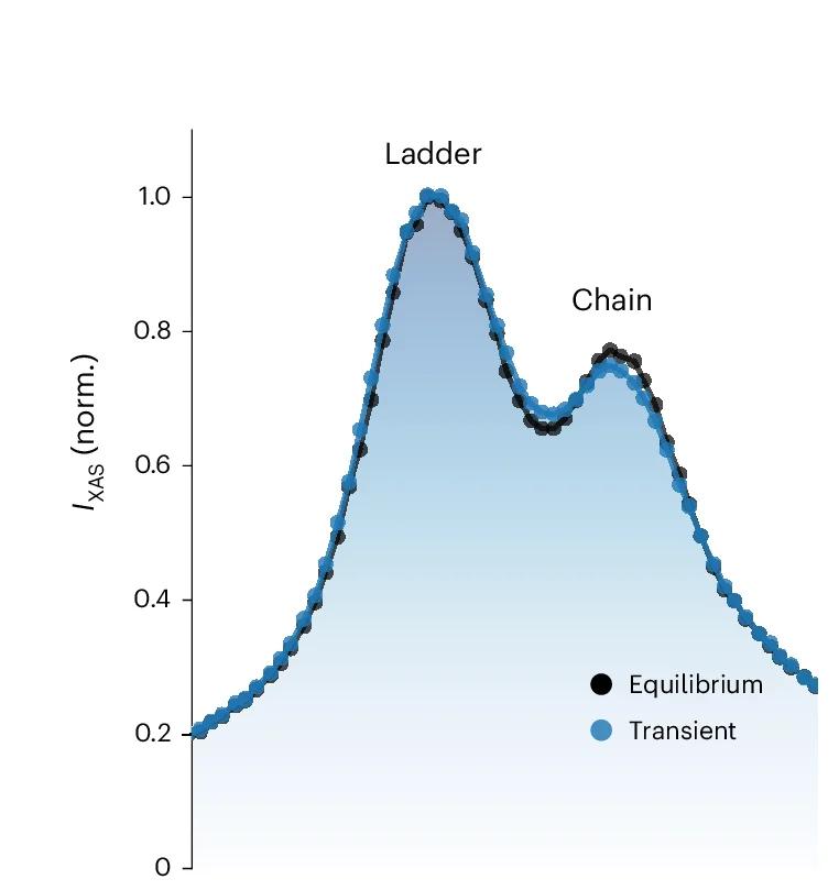 Open access visualization of Line Plot, Scatter Plot, Density Plot, Equilibrium, Transient