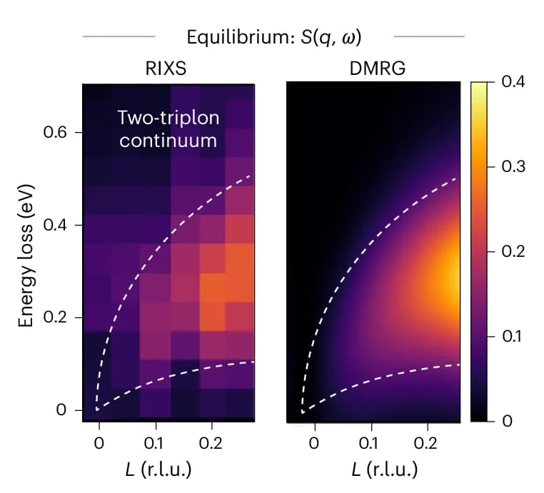 Open access visualization of Heatmap, Spin Structure Factor, RIXS, DMRG, Two-Triplon Continuum