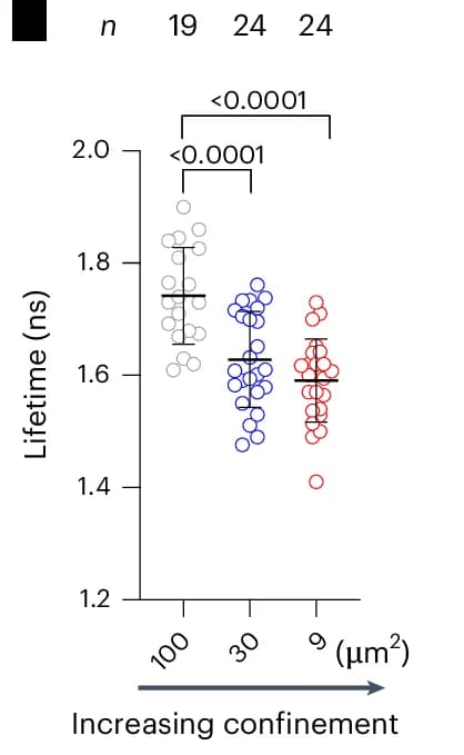 Open access visualization of Scatter Plot, Error Bars, Confocal Sections, HT-1080 Cells, Cell Migration