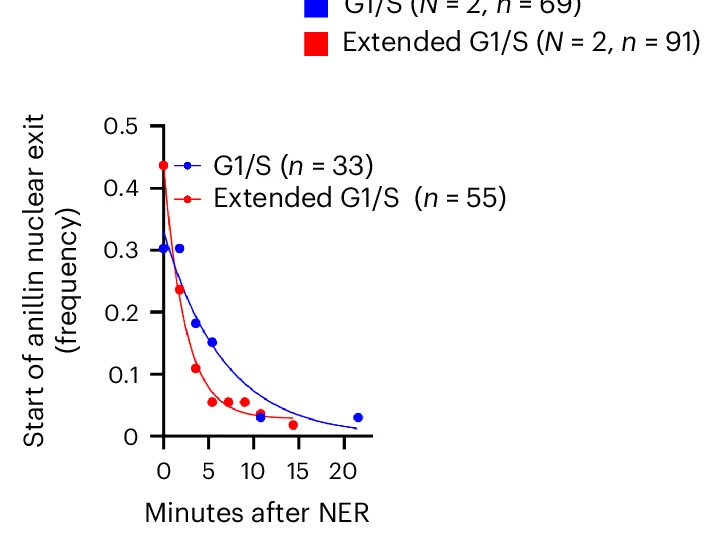 Open access visualization of Line Plot, Scatter Plot, Anillin, Cytoplasm, NE Rupture