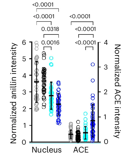 Open access visualization of Scatter Plot, Error Bars, GFP-Anillin, Nucleus, ACEs