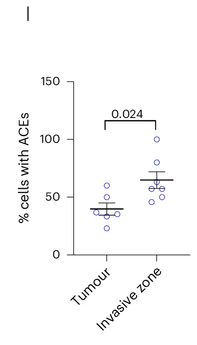Open access visualization of Scatter Plot, Error Bars, ACE Frequency, Tumour Core, Invasive Zone
