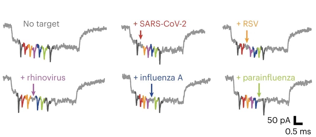 Open access visualization of Line Plot, Nanopore, SARS-CoV-2, RSV, Rhinovirus