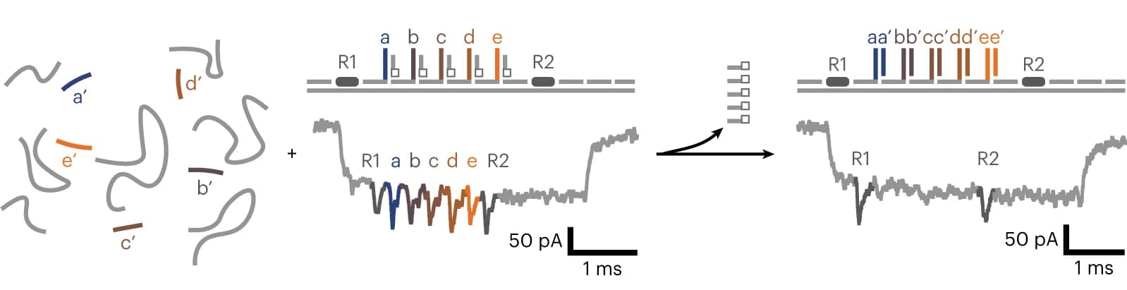 Open access visualization of Line Plot, Bar Plot, Illustration, Nanobait, Target Identification