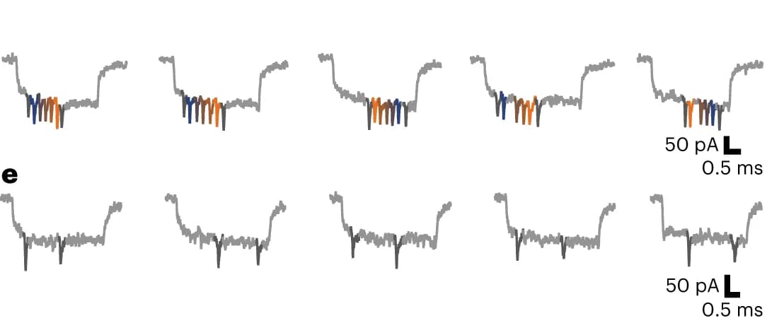 Open access visualization of Line Plot, Error Bars, Nanobait Events, htRNA, Current Signature