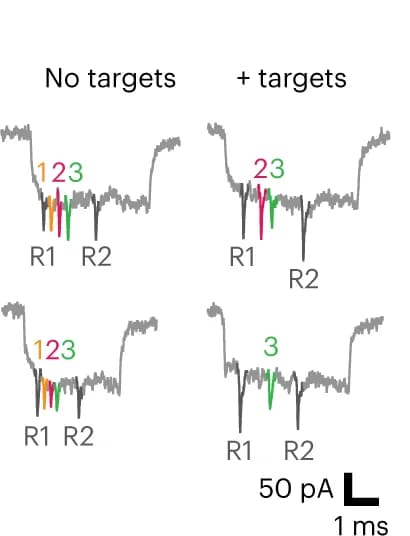 Open access visualization of Line Plot, Nanobait, Targets, RNA Displacement