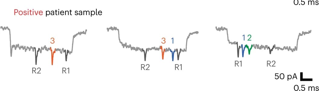 Open access visualization of Line Plot, SARS-CoV-2, Positive samples