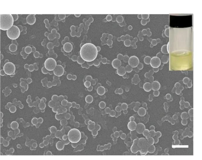 Open access visualization of Microscopy, Photo, SEM, CNP-s, Aqueous Suspension