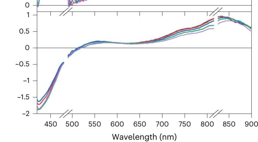 Open access visualization of Line Plot, TA Spectra, CNP-f, Water, Pump-probe
