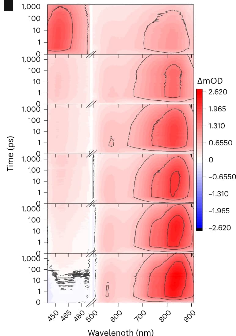 Open access visualization of Heatmap, TA Spectra, CNP-f Growth Process, Excitation, Argon Gas