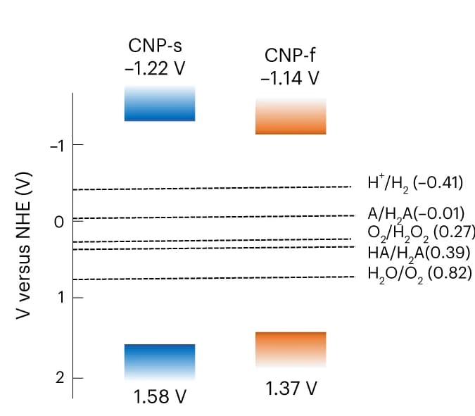 Open access visualization of Bar Plot, Energy levels, CNP-s, CNP-f