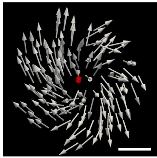 Open access visualization of 3D Plot, 3D Spin Textures, TMM, Tetrahedral Site, fcc Meta-lattice