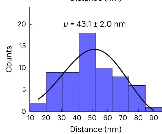 Open access visualization of Histogram, Line Plot, Density Plot, Histograms, Nearest-Neighbour Distances