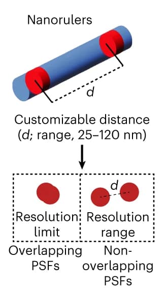 Open access visualization of Illustration, Nanorulers, Fluorescent positions, Resolution range, Point Spread Function