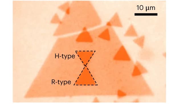 Open access visualization of Microscopy, Photo, Optical Micrograph, H-stacks, R-stacks