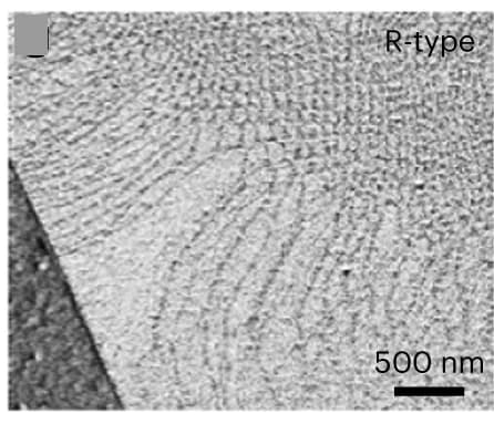 Open access visualization of Microscopy, Scanning Electron Micrographs, R-Heterostacks, Secondary Electron Imaging