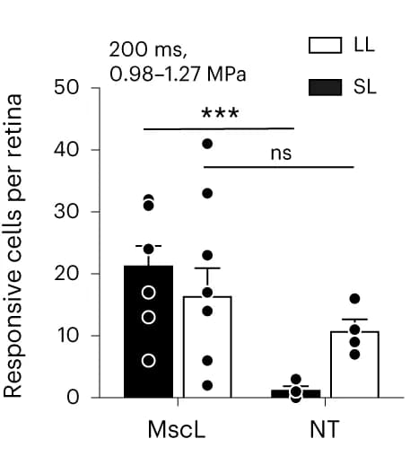 Open access visualization of Bar Plot, Error Bars, Clustered, Cells per retina, US stimuli