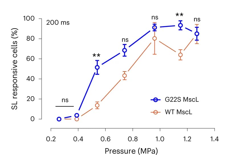 Open access visualization of Line Plot, Error Bars, SL RGC cells, US stimuli, WT MscL retinas