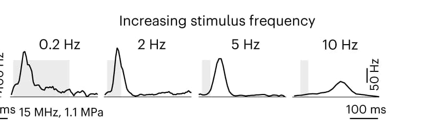 Open access visualization of Line Plot, Stimulus Durations