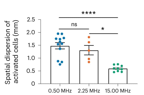 Open access visualization of Bar Plot, Error Bars, Scatter Plot, Activated Cells, Spatial Dispersions