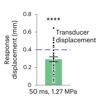 Open access visualization of Bar Plot, Error Bars, Scatter Plot, Activation Centre, Ultrasound Transducer