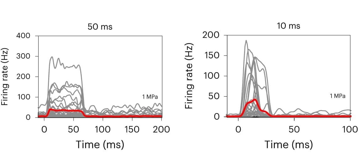 Open access visualization of Line Plot, Spike Density Functions, Neurons, MEA, Rats
