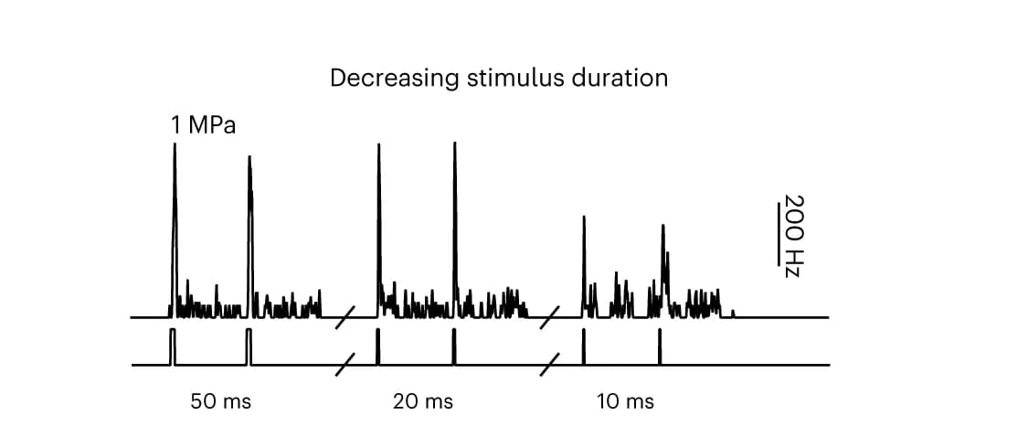 Open access visualization of Line Plot, Line Step, Instantaneous SDF, Ultrasound Stimuli, Stimulus Repetition Frequency