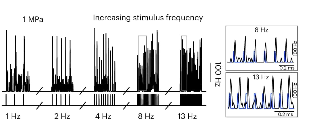 Open access visualization of Line Plot, Line Step, Instantaneous SDF, Ultrasound Stimuli, Stimulus Repetition Frequencies