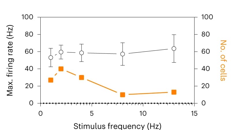 Open access visualization of Line Plot, Error Bars, Mean Maximum Firing Rate, Activated Neurons, Ultrasound Stimulation