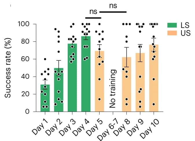 Open access visualization of Bar Plot, Error Bars, Scatter Plot, Successful Trials, Associative Learning
