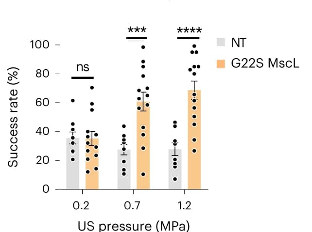 Open access visualization of Bar Plot, Error Bars, Scatter Plot, Successful Trials, Ultrasound Stimulation