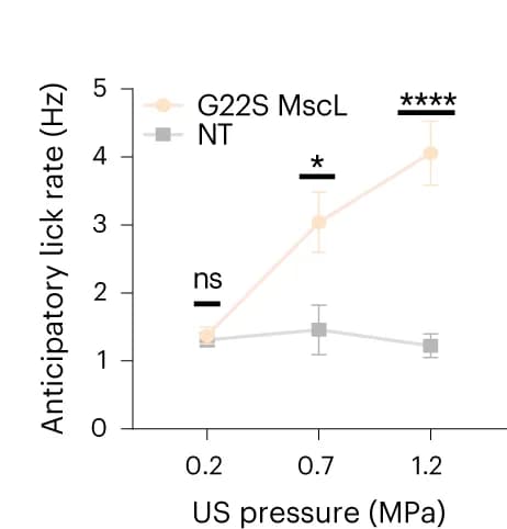 Open access visualization of Line Plot, Error Bars, Anticipatory Lick Rates, NT Mice, G22S MscL-transfected mice