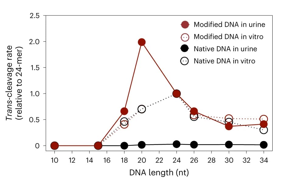Open access visualization of Line Plot, Scatter Plot, ssDNA Activator, In Vitro, In Vivo
