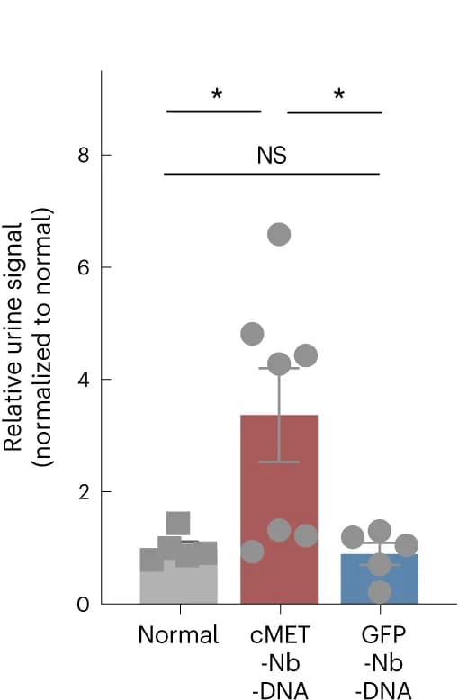 Open access visualization of Bar Plot, Error Bars, Scatter Plot, Urine samples, Tumor-bearing mice