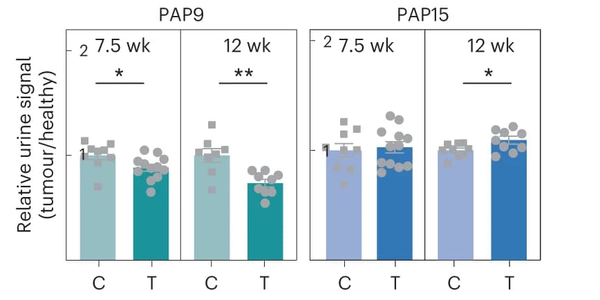 Open access visualization of Bar Plot, Scatter Plot, DNA-SUBs, KP Mice, Control Mice