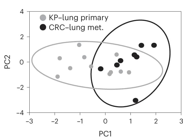 Open access visualization of Scatter Plot, PCA, Lung Tumor Nodules, CRC, KP Mutants