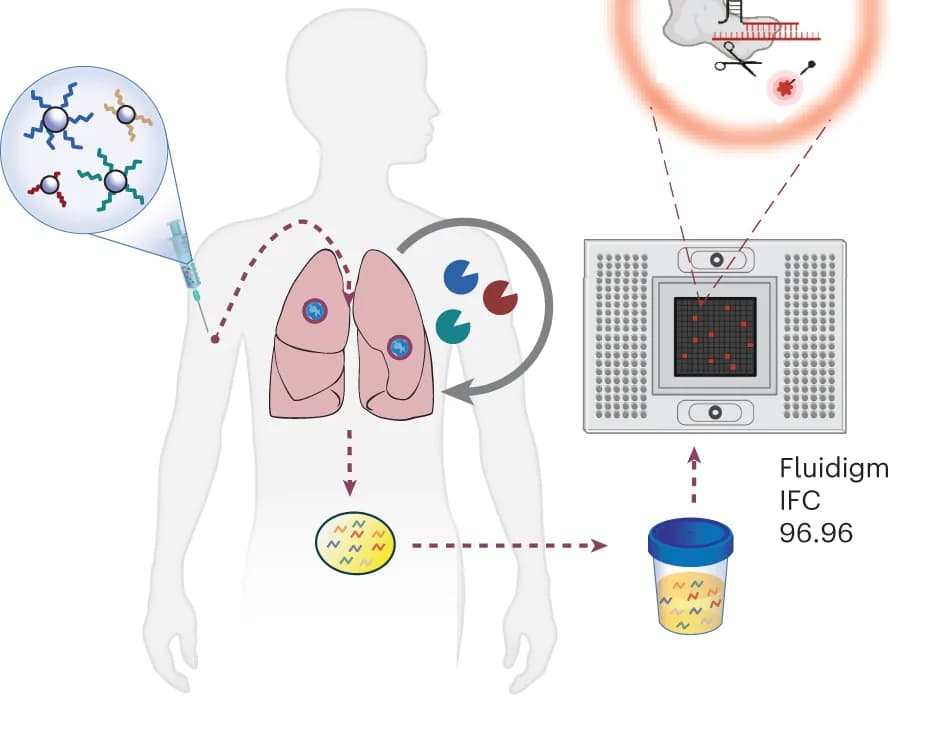 Open access visualization of Workflow, Illustration, CRISPR-Cas, DNA Detection, Microfluidics Platform
