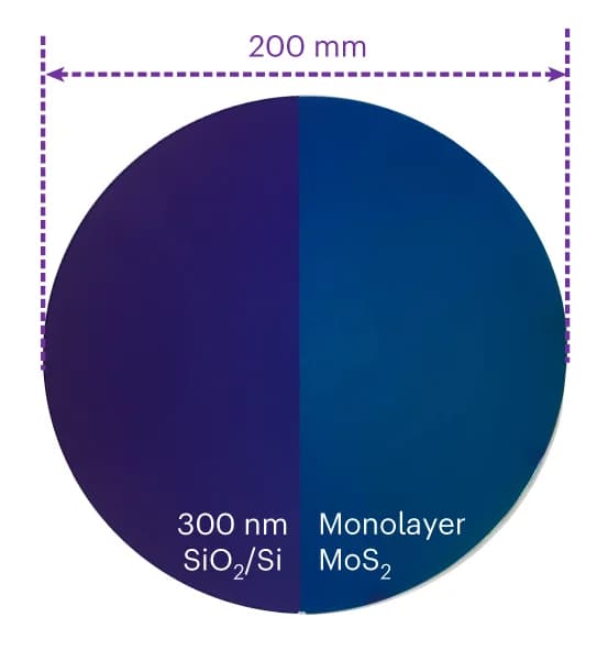 Open access visualization of Photo, Optical Image, MoS2, Silica/Silicon substrate