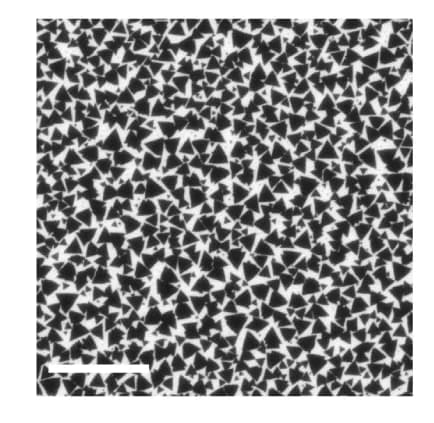Open access visualization of Microscopy, Photo, Scanning Electronic Microscope, MoS2