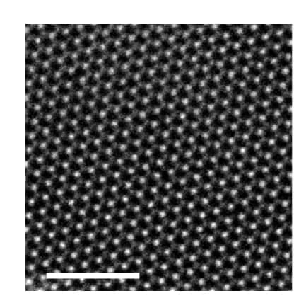 Open access visualization of Microscopy, HR-STEM, MoS2, Defect Sites