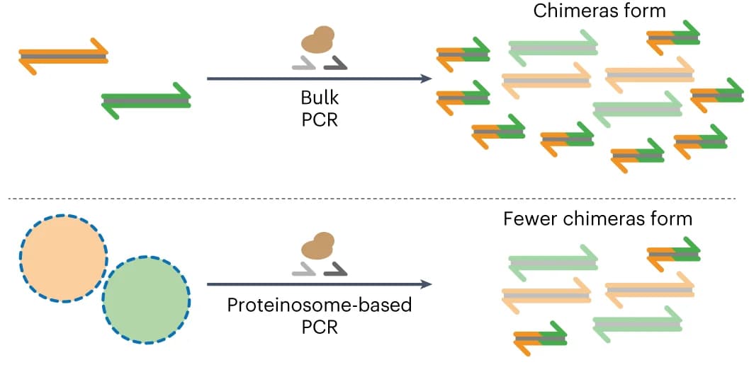 Open access visualization of Workflow, Illustration, Thermoconfined PCR, Proteinosomes, Chimera Formation