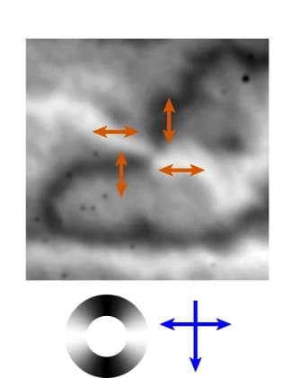 Open access visualization of Microscopy, XMLD-PEEM, Vortex Structure, Spin Axis