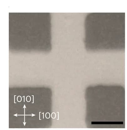 Open access visualization of Microscopy, Optical Image, Device Structure, Electrical Pulsing