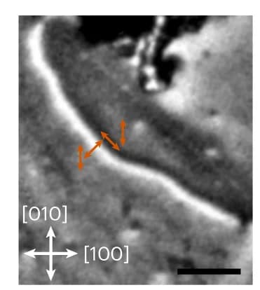 Open access visualization of Microscopy, AFDW, XMLD-PEEM, Neel Vector, X-ray Polarization