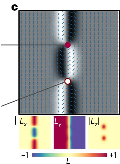Open access visualization of Heatmap, Simulation, XMLD-PEEM, Neel Vector, AFDW