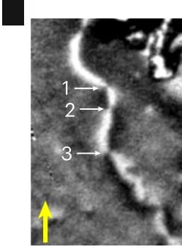 Open access visualization of Microscopy, XMLD-PEEM, AFDW, Electrical Pulses, Vortices