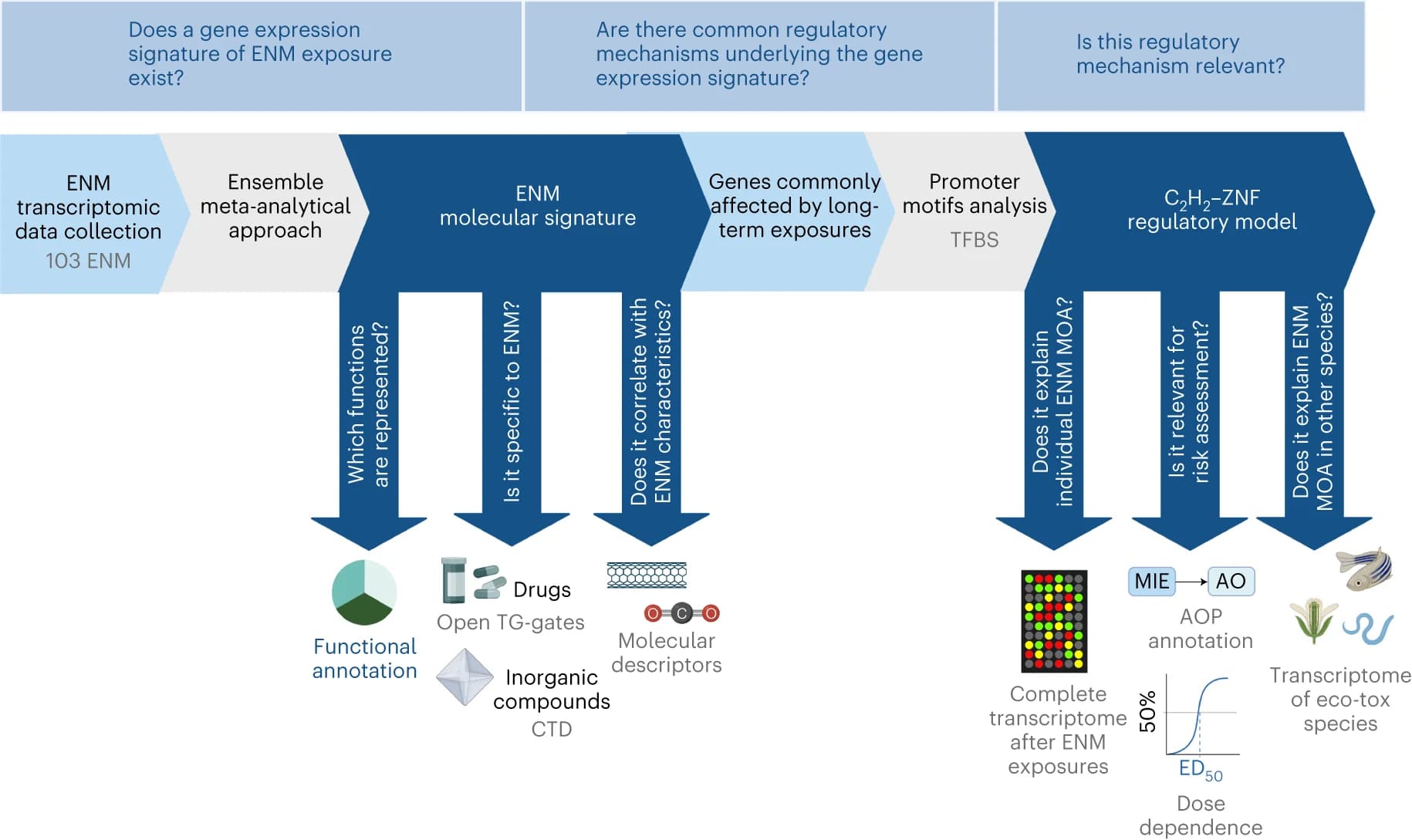 Open access visualization of Workflow, Flowchart, Study Workflow, Data, Methodology
